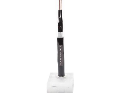 Control Cable